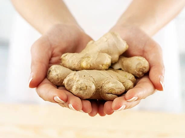 Exploring the Uses & Health Benefits of Ginger Root